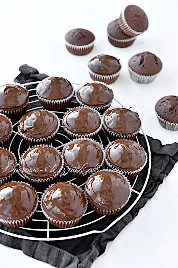 Cocoa Muffins